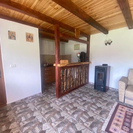 Casa Prundari Nicu Si Mirela Hotel Poiana Teiului Екстериор снимка