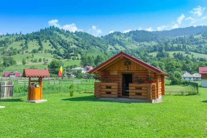 Casa Prundari Nicu Si Mirela Hotel Poiana Teiului Екстериор снимка