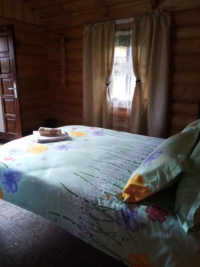 Casa Prundari Nicu Si Mirela Hotel Poiana Teiului Екстериор снимка