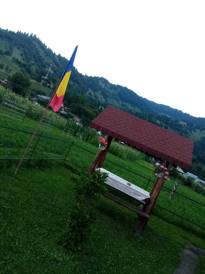 Casa Prundari Nicu Si Mirela Hotel Poiana Teiului Екстериор снимка