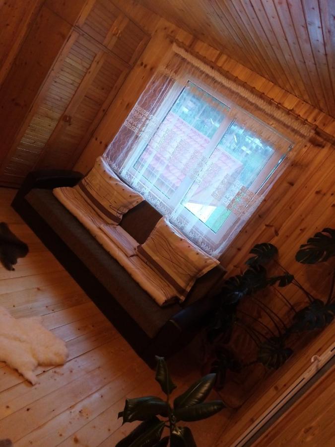 Casa Prundari Nicu Si Mirela Hotel Poiana Teiului Екстериор снимка