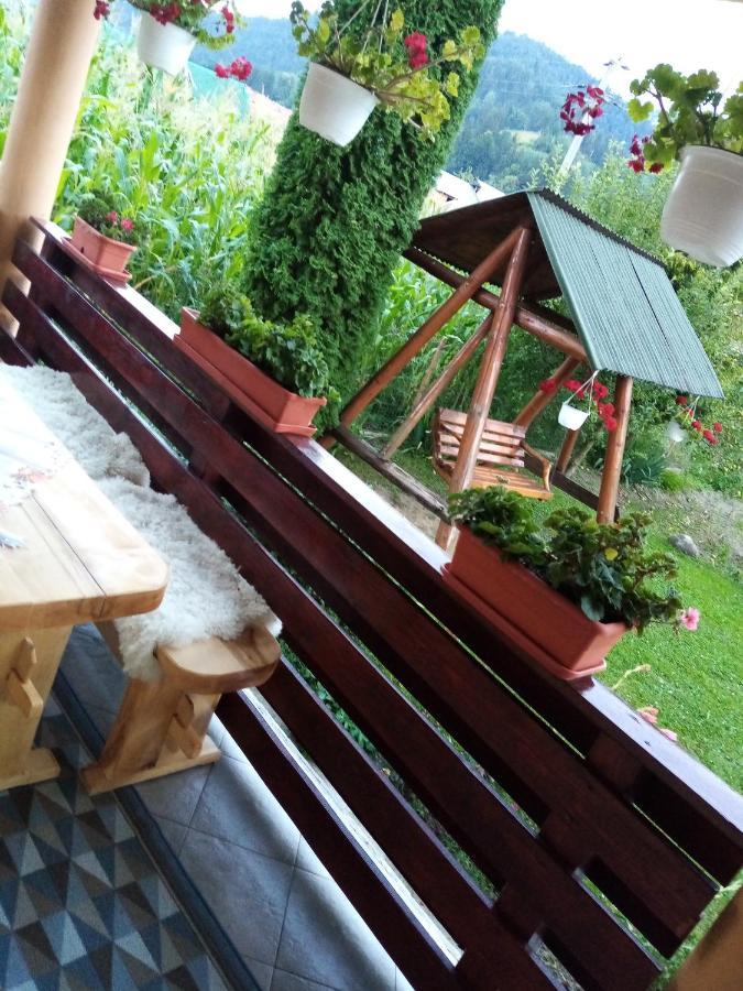 Casa Prundari Nicu Si Mirela Hotel Poiana Teiului Екстериор снимка