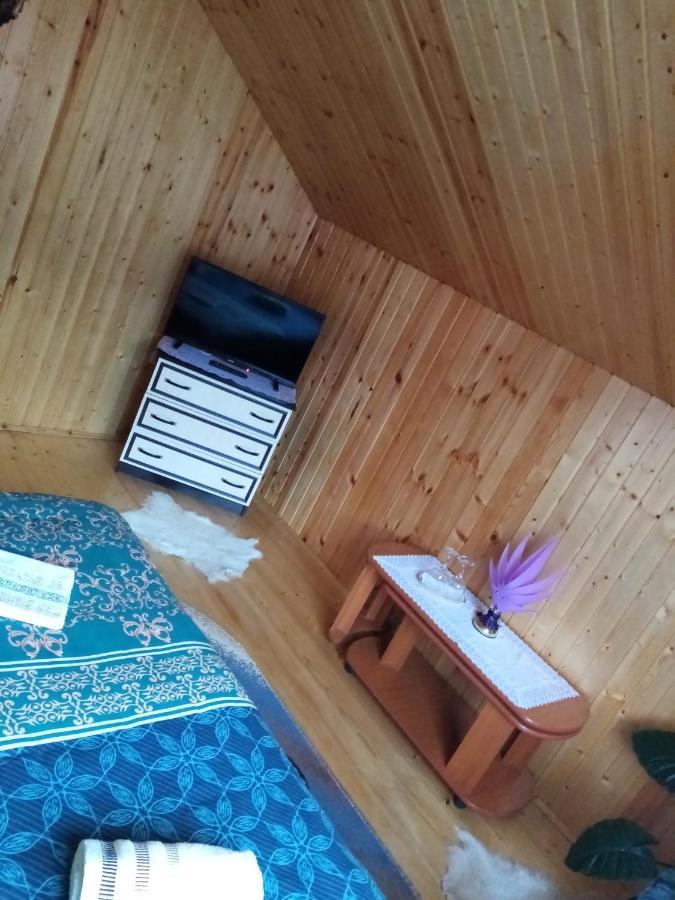 Casa Prundari Nicu Si Mirela Hotel Poiana Teiului Екстериор снимка