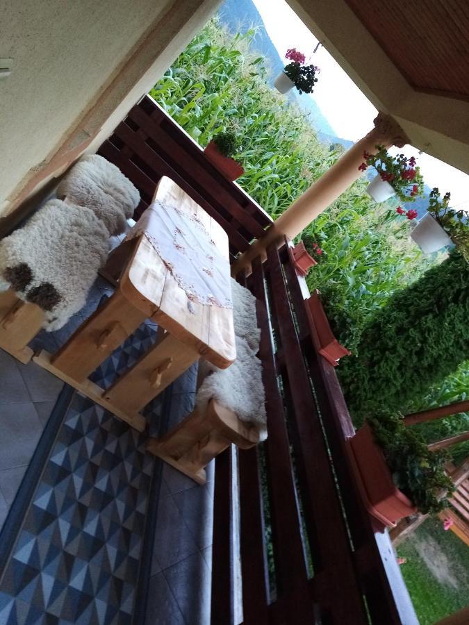 Casa Prundari Nicu Si Mirela Hotel Poiana Teiului Екстериор снимка