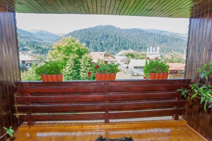 Casa Prundari Nicu Si Mirela Hotel Poiana Teiului Екстериор снимка