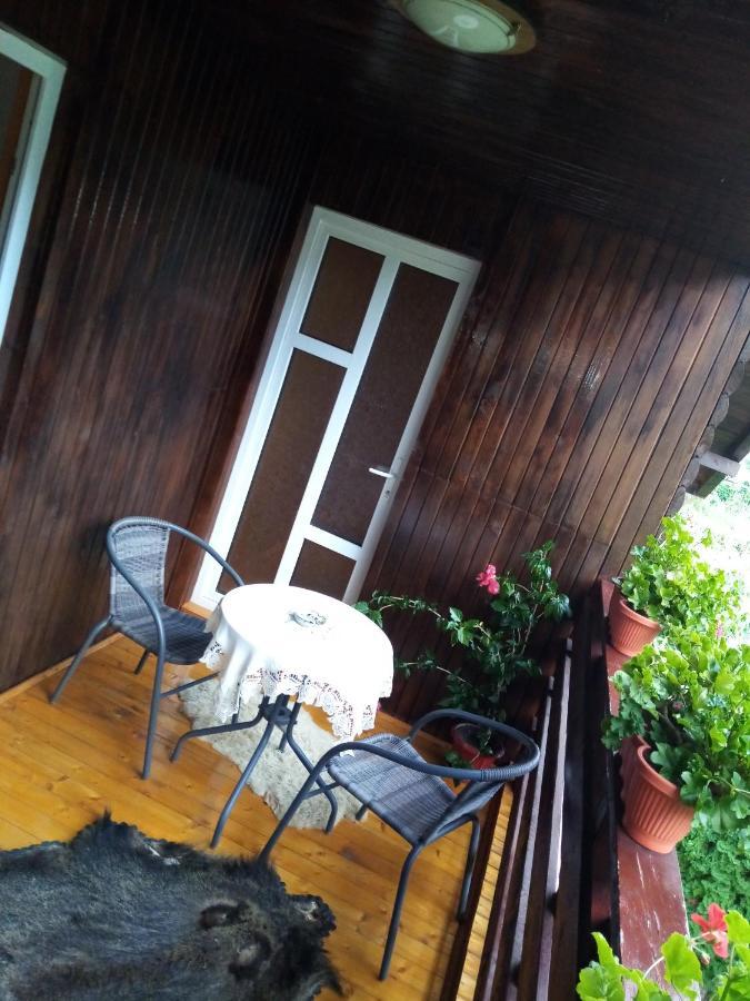 Casa Prundari Nicu Si Mirela Hotel Poiana Teiului Екстериор снимка