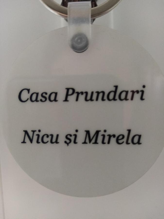 Casa Prundari Nicu Si Mirela Hotel Poiana Teiului Екстериор снимка
