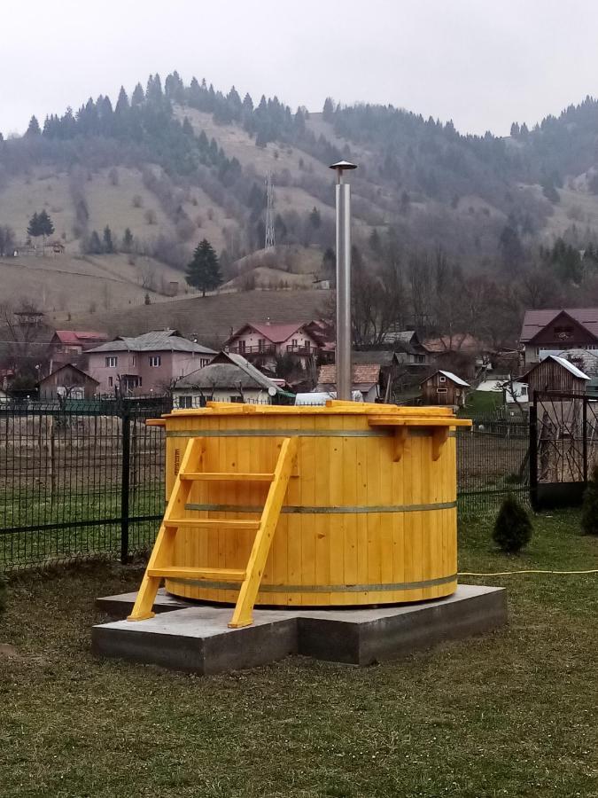 Casa Prundari Nicu Si Mirela Hotel Poiana Teiului Екстериор снимка