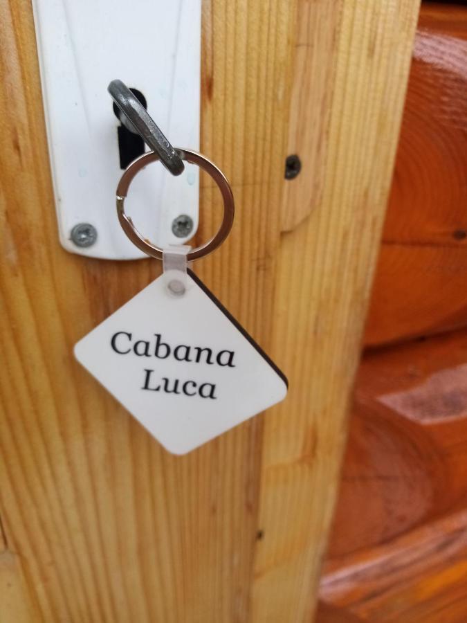 Casa Prundari Nicu Si Mirela Hotel Poiana Teiului Екстериор снимка