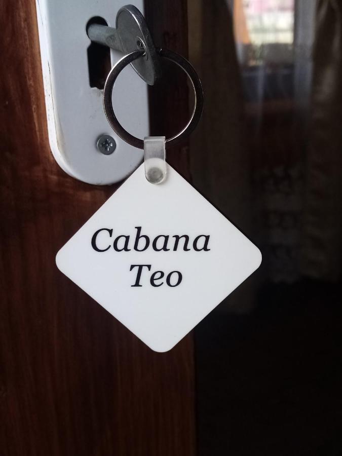 Casa Prundari Nicu Si Mirela Hotel Poiana Teiului Екстериор снимка