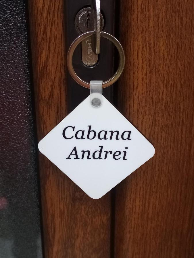Casa Prundari Nicu Si Mirela Hotel Poiana Teiului Екстериор снимка