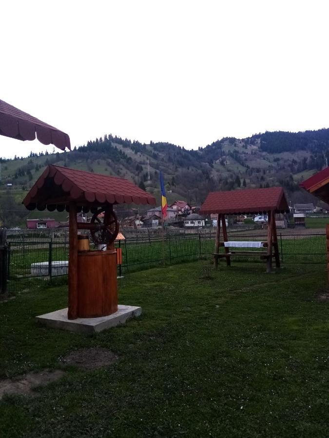 Casa Prundari Nicu Si Mirela Hotel Poiana Teiului Екстериор снимка