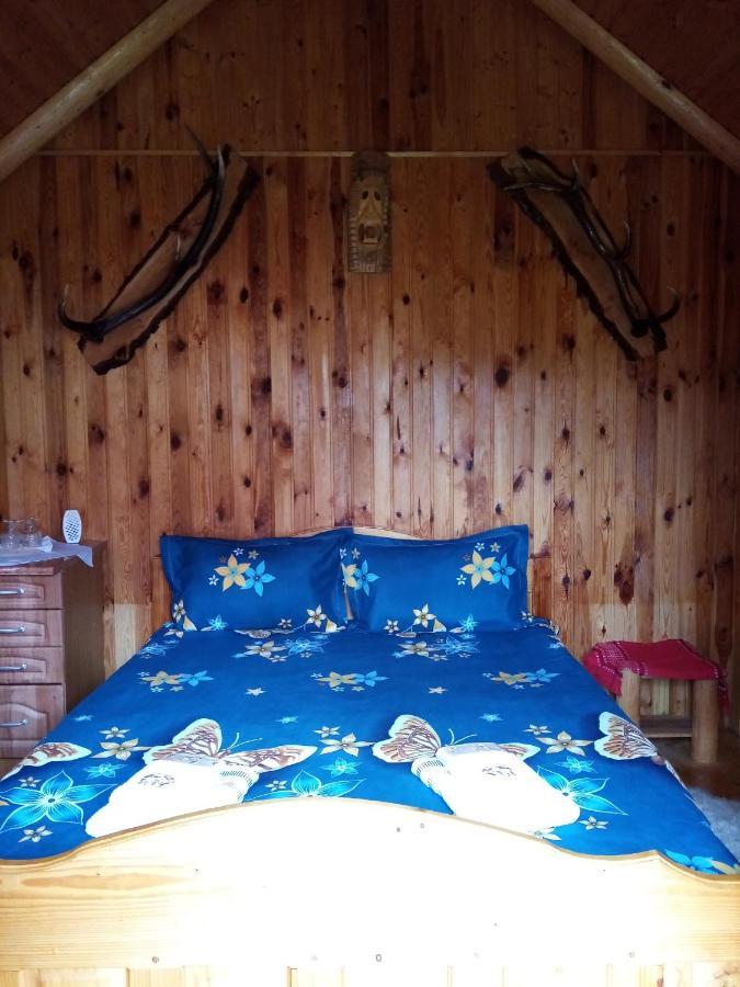 Casa Prundari Nicu Si Mirela Hotel Poiana Teiului Екстериор снимка