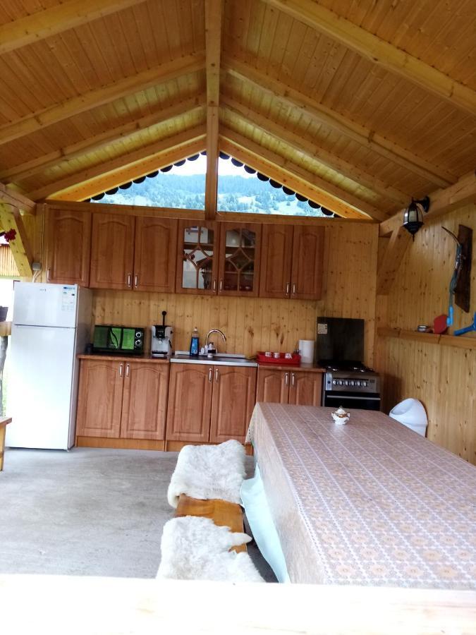 Casa Prundari Nicu Si Mirela Hotel Poiana Teiului Екстериор снимка