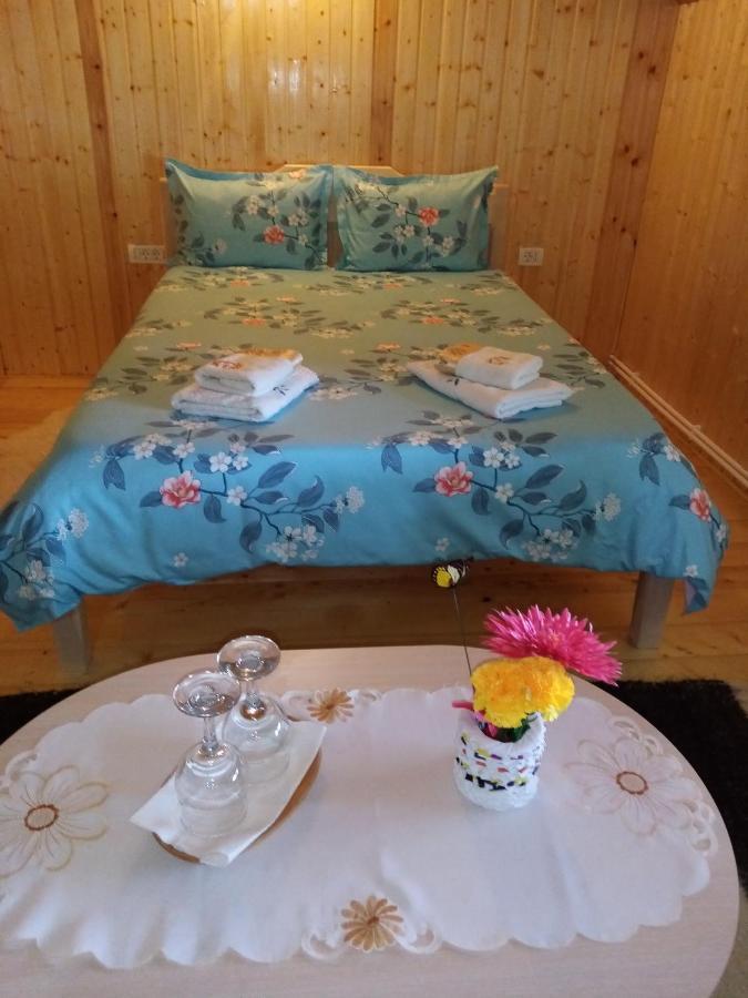 Casa Prundari Nicu Si Mirela Hotel Poiana Teiului Екстериор снимка