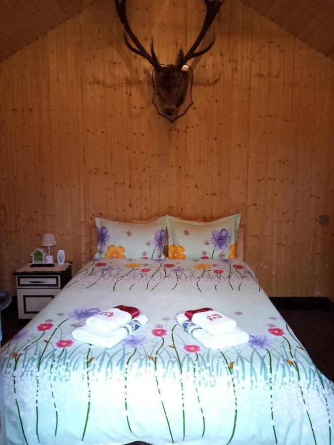 Casa Prundari Nicu Si Mirela Hotel Poiana Teiului Екстериор снимка