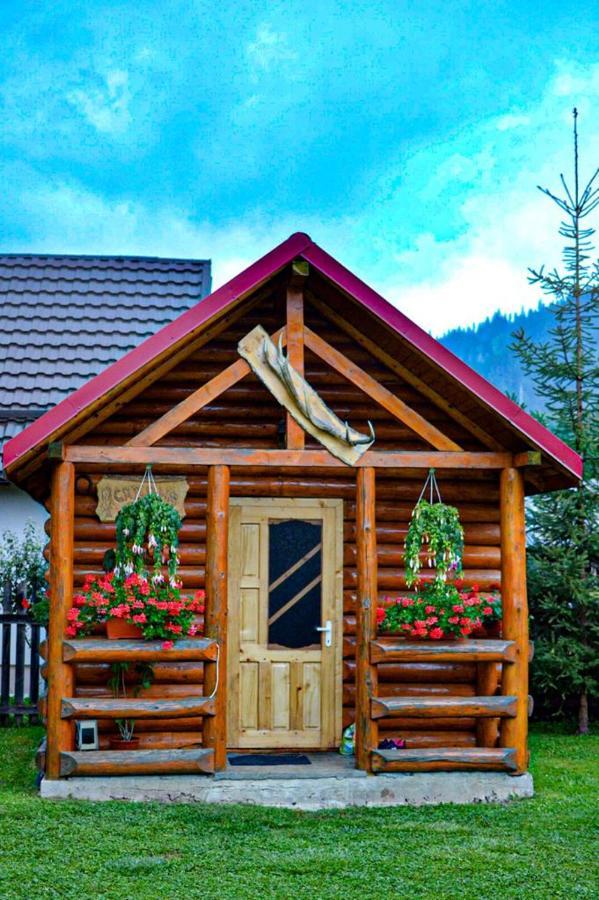 Casa Prundari Nicu Si Mirela Hotel Poiana Teiului Екстериор снимка