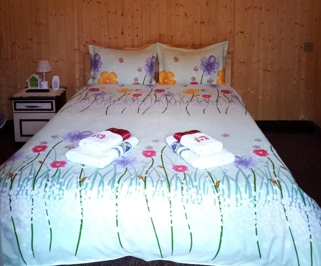 Casa Prundari Nicu Si Mirela Hotel Poiana Teiului Екстериор снимка
