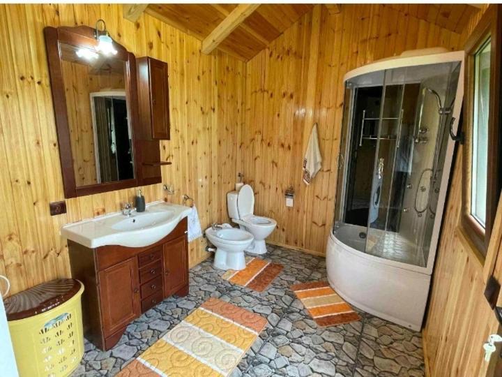 Casa Prundari Nicu Si Mirela Hotel Poiana Teiului Стая снимка
