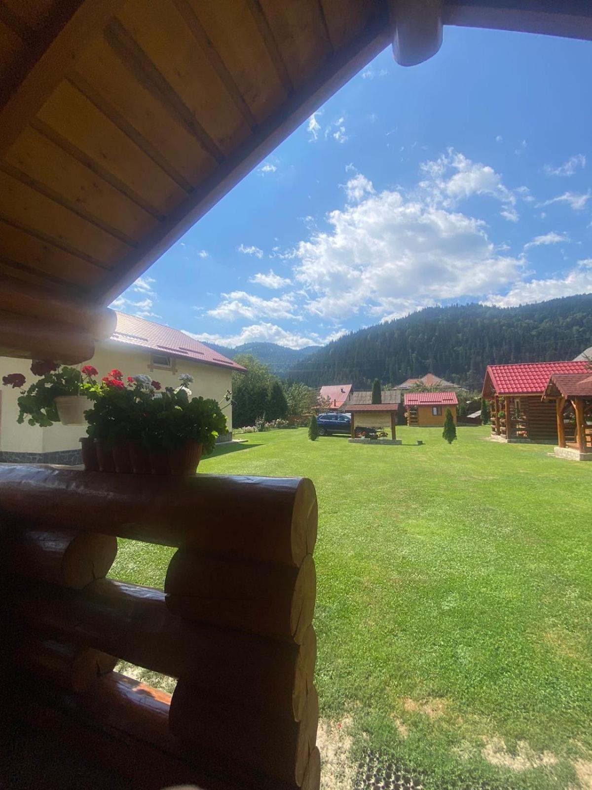 Casa Prundari Nicu Si Mirela Hotel Poiana Teiului Екстериор снимка