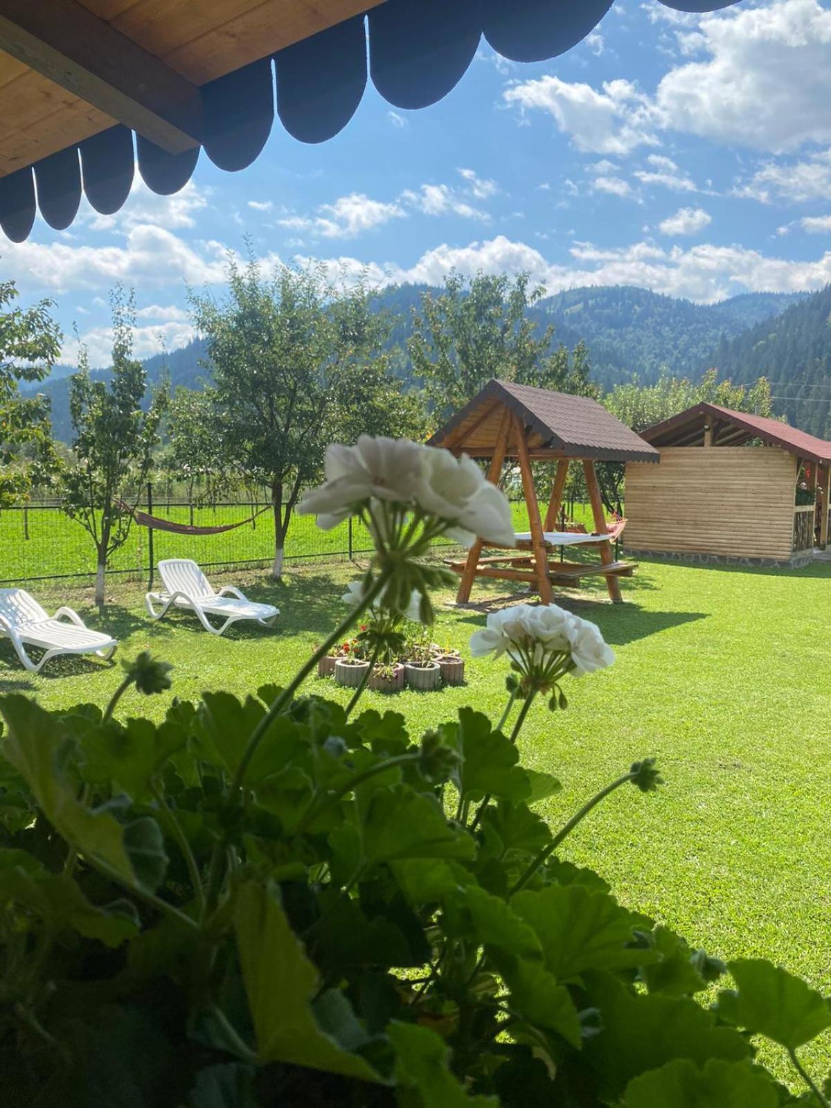 Casa Prundari Nicu Si Mirela Hotel Poiana Teiului Екстериор снимка